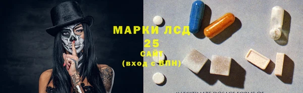 гидра Белоозёрский