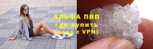 круглые Белокуриха