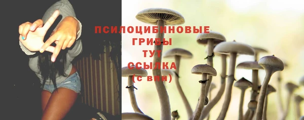 гидра Белоозёрский
