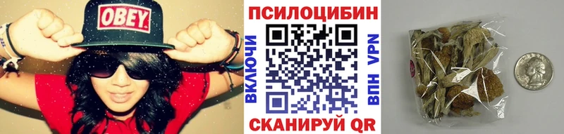 Псилоцибиновые грибы MAGIC MUSHROOMS  мориарти как зайти  Гороховец  продажа наркотиков 