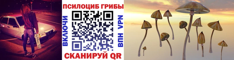 Псилоцибиновые грибы MAGIC MUSHROOMS Гороховец